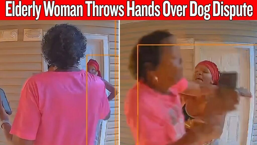 Doorbell camera footage of an elderly woman confronting her neighbor over a dog dispute before striking first